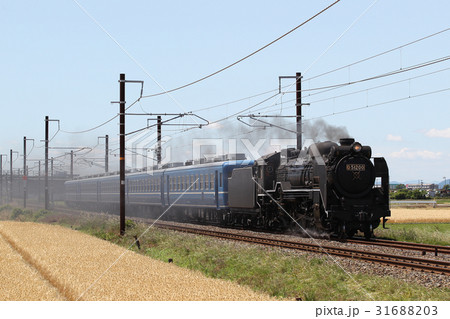 北陸本線 D51形蒸気機関車+12系試運転 北陸本線 D51形蒸気機関車+12系試運転 31688203