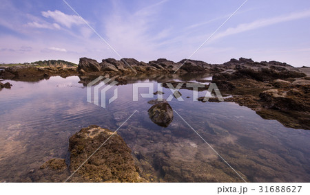 葉山の海の水鏡 葉山の海の水鏡 31688627