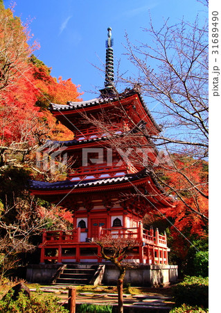 三室戸寺 宇治市 境内の紅葉の写真素材