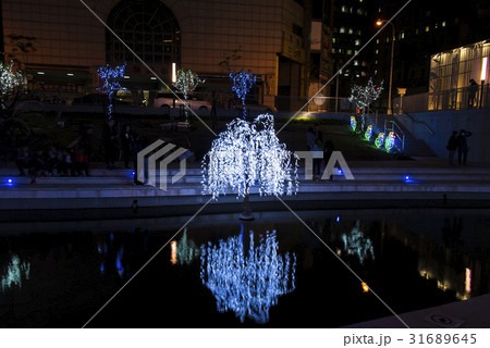 ナイトシーン 夕映 夜景 31689645