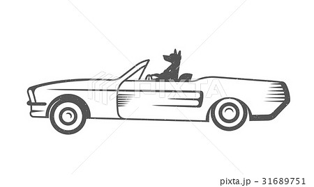 Vector Illustration Funny Dog 31689751