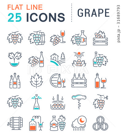 Set Vector Flat Line Icons Grape Set Vector Flat Line Icons Grape 31689793