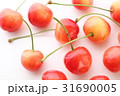 さくらんぼ 31690005