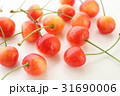 さくらんぼ 31690006