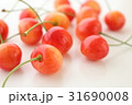 さくらんぼ 31690008