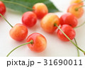 さくらんぼ 31690011
