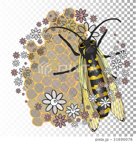 Bee with transparent wings on a transparent Bee with transparent wings on a transparent 31690076