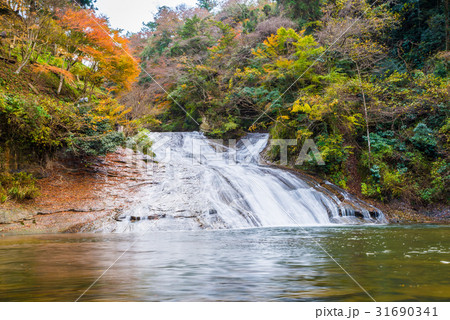 養老渓谷 (粟又の滝) 秋 養老渓谷 (粟又の滝) 秋 31690341