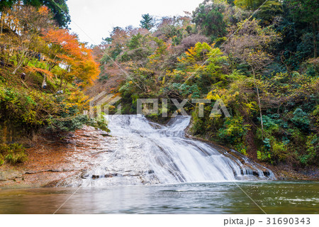 養老渓谷 (粟又の滝) 秋 養老渓谷 (粟又の滝) 秋 31690343