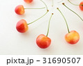 さくらんぼ 31690507