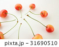 さくらんぼ 31690510