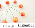 さくらんぼ 31690511