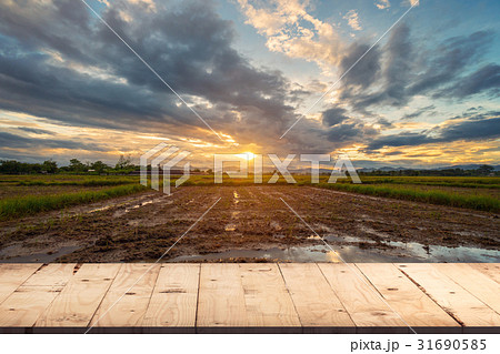 wood table for product montage and display 31690585