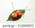さくらんぼ 31690652