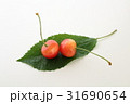 さくらんぼ 31690654