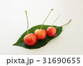 さくらんぼ 31690655