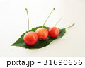 さくらんぼ 31690656