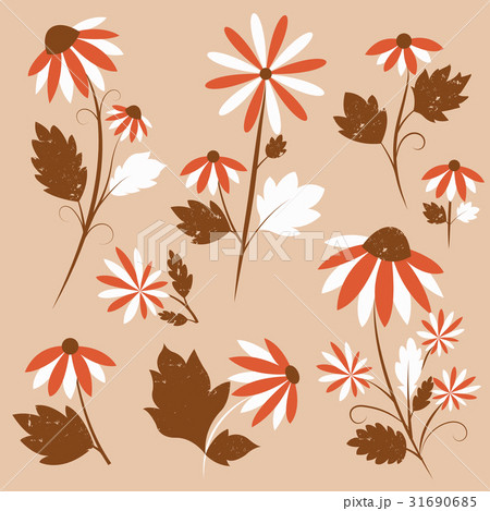 Vector Flowers Set Vector Flowers Set 31690685