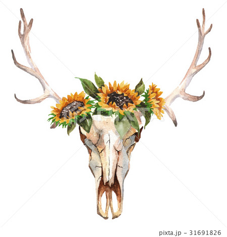 Watercolor isolated bull's head with flowers and 31691826
