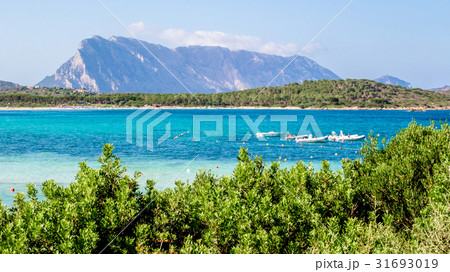 Lu impustu beach in Sardinia, with Tavolara island 31693019
