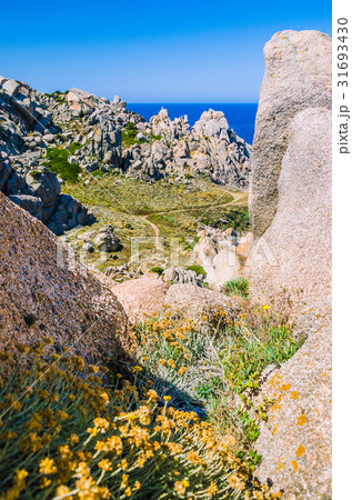 Path betweeen bizarre granite rock formations in Path betweeen bizarre granite rock formations in 31693430