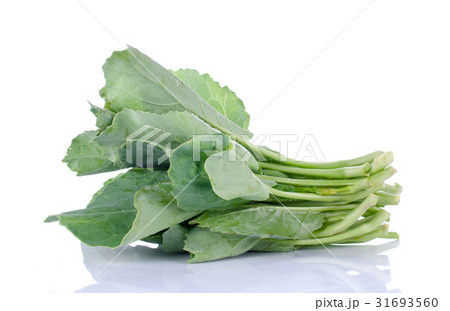 Chinese kale vegetable on white background. Chinese kale vegetable on white background. 31693560