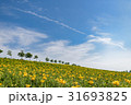ゆり園 31693825