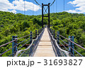 吊り橋 31693827