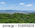 吊り橋 31693828