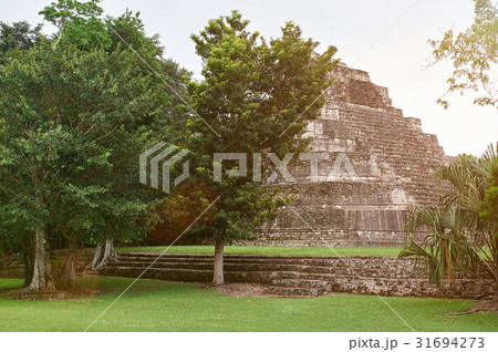 mayan ruin pyramid 31694273