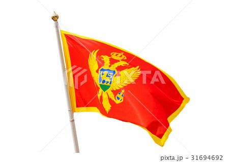 Montenegro flag isolated on white background Montenegro flag isolated on white background 31694692