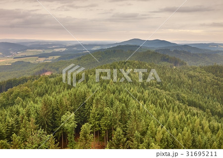 Hilly landscape at dusk Hilly landscape at dusk 31695211