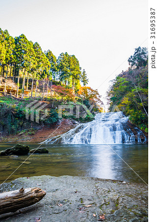 養老渓谷 （粟又の滝） 秋 31695387