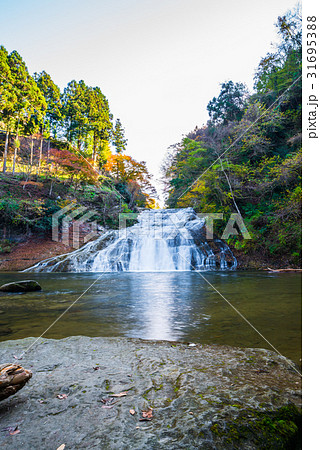 養老渓谷 (粟又の滝) 秋 養老渓谷 (粟又の滝) 秋 31695388