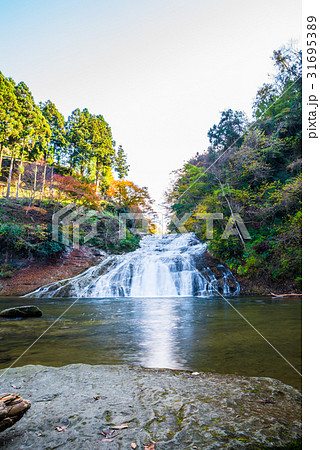 養老渓谷 （粟又の滝） 秋 31695389