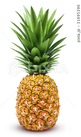 One whole pineapple isolated on white 31695390