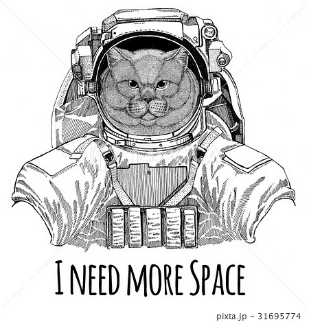 Brithish noble cat Male wearing space suit Wild 31695774
