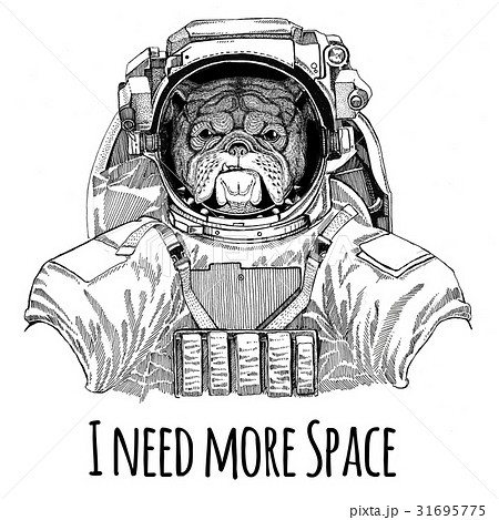 Bulldog wearing space suit Wild animal astronaut 31695775