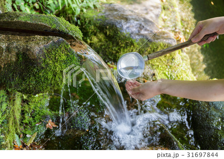 鳥取県 本宮(ほんぐう)の泉で水を汲む 鳥取県 本宮(ほんぐう)の泉で水を汲む 31697844