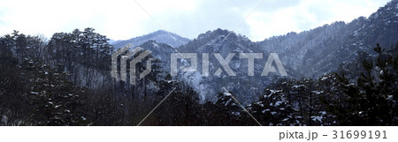 江原道 雪岳山 襄陽郡 31699191