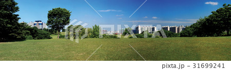 ソウル アパート マンション 31699241