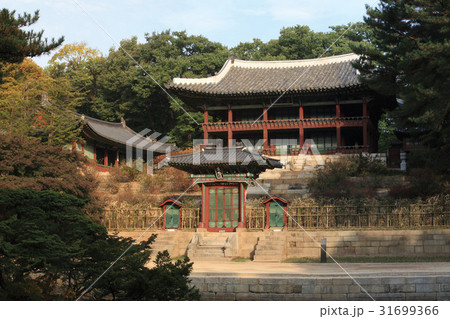古建築 悲願 伝統 31699366