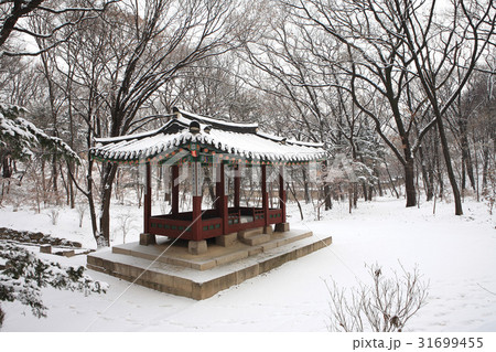 古建築 悲願 昌徳宮 31699455