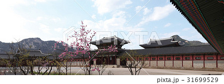 景福宮 古建築 勤政門 31699529