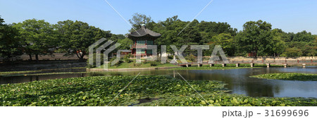 景福宮 池 韓国 31699696