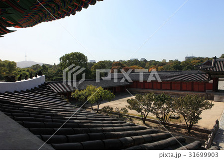 古建築 ソウル 屋外 31699903