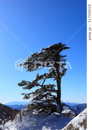 国立公園 徳裕山 茂朱郡 31700059