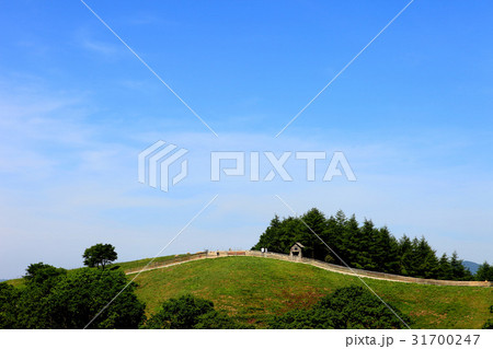 江原道 大関嶺 羊牧場 31700247