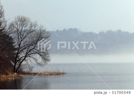 京畿道 キョンギド 南楊州市 31700349
