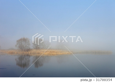 秋 京畿道 キョンギド 31700354